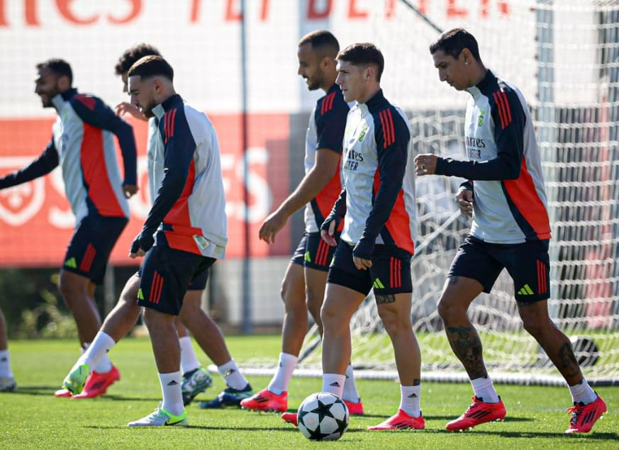 Benfica x Rio Ave - Palpite, Análise e Tabela 27-10-2024